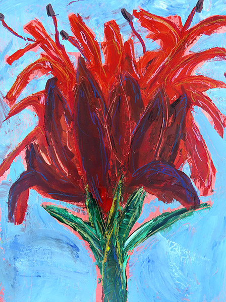 Gymea Lily