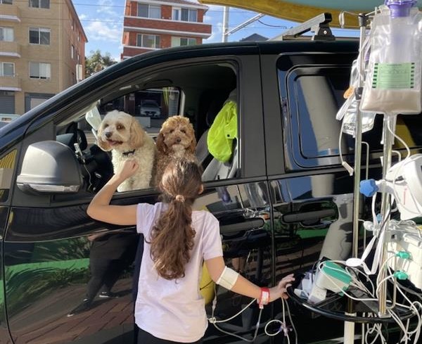 Tayla petting her two cavoodles, Uno and Millie, through the car window as they sit on the passenger seat.