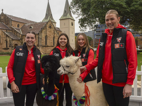 Four Sydney Swans Women's players posing with Alpacas for Sydney Sick Kids Day