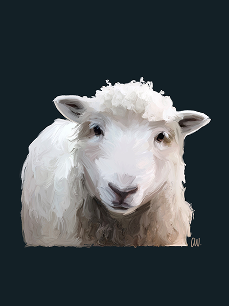 Sheep - Animal - Ceren Wynter