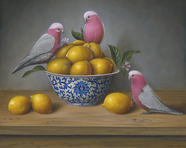Galah’s love story