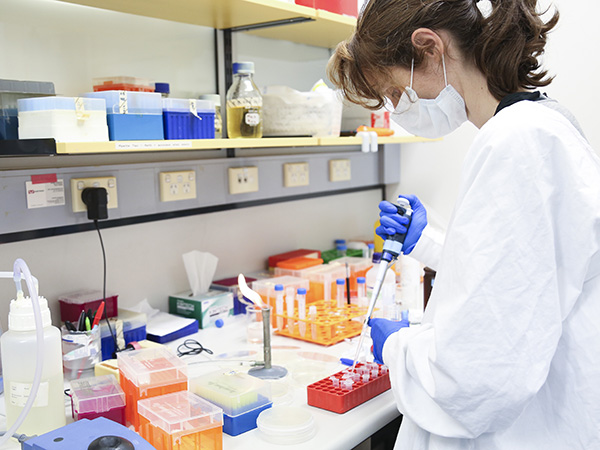 SCHN researcher using lab equipment to conduct research