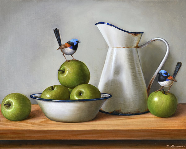 Variegated fairy-wren with apples