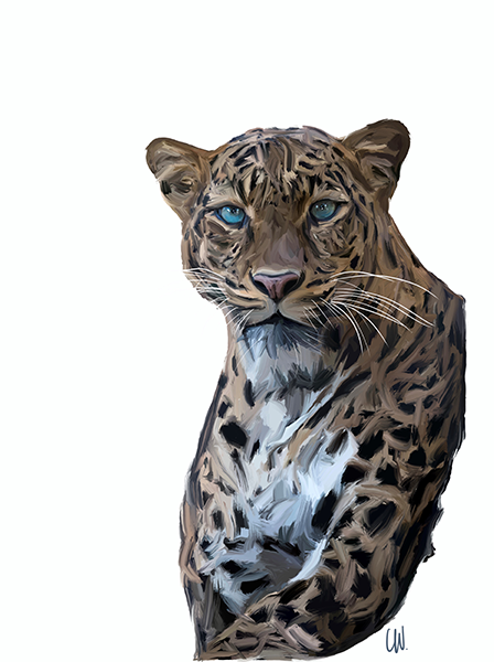 Leopard - Animal - Ceren Wynter