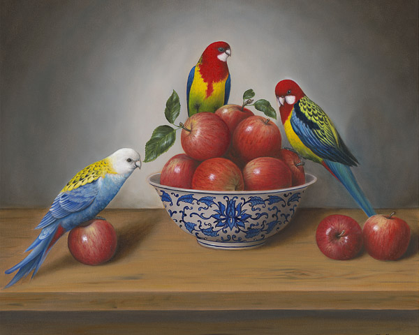 Three rosellas and apples