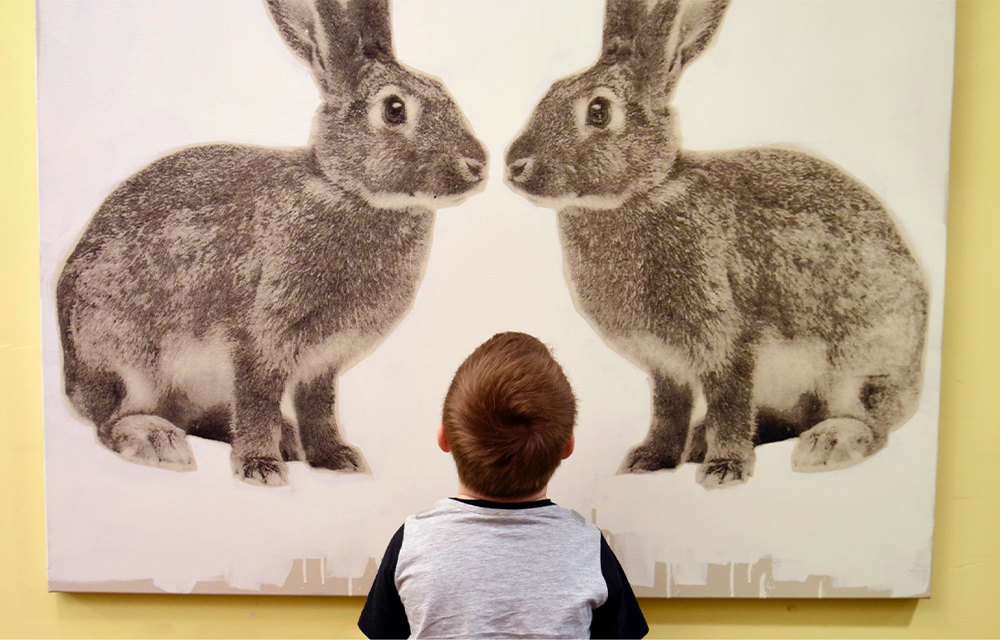 a boy staring at a painting of two rabbits