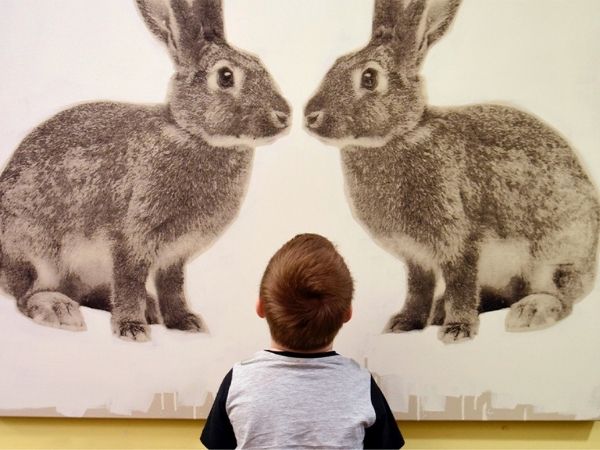 A young boy in hospital looking up at a large canvas artwork of two grey rabbits looking at eachother