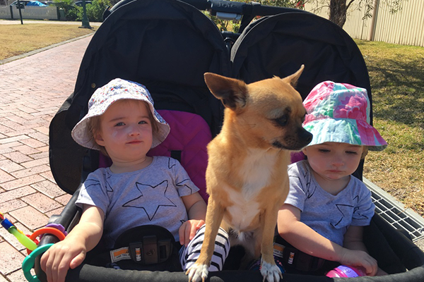 Jasmine and Jacinta in their pram with their puppy